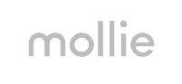 mollie-logo_integraties_tilroy_bfbfbf-final